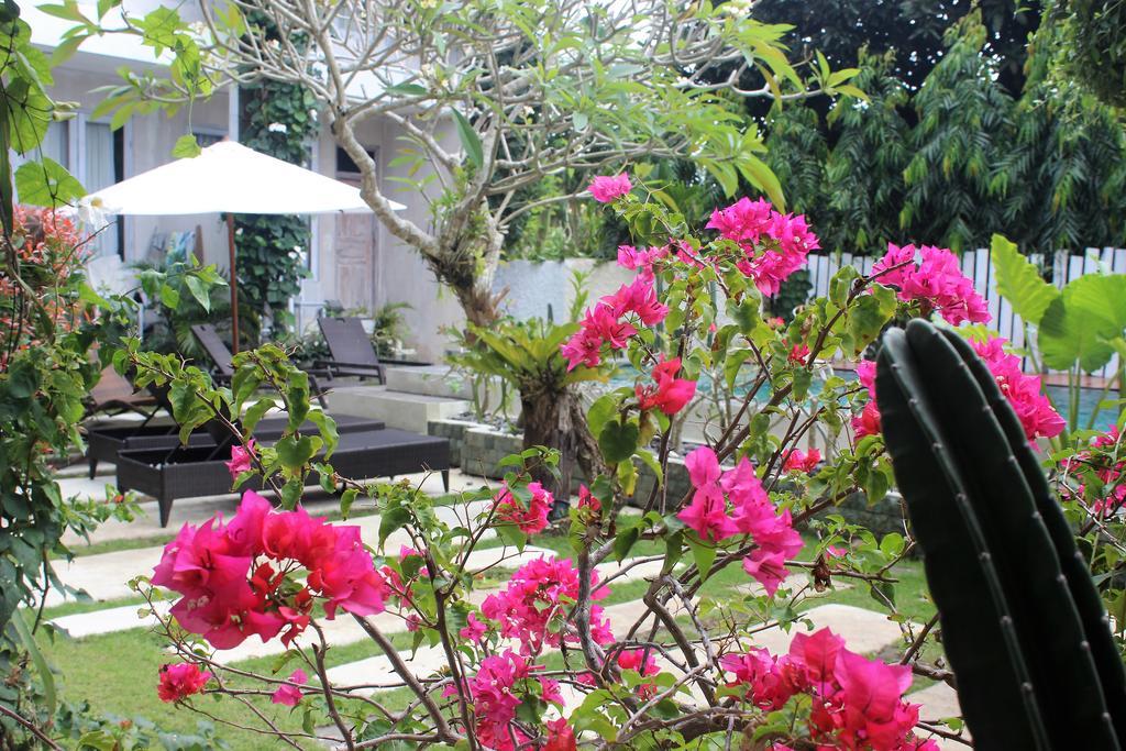 Bingin Inn Uluwatu Exteriör bild